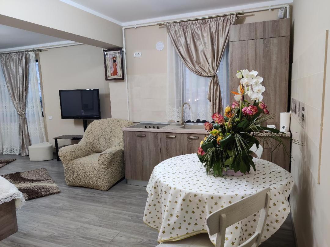בראשוב Corressy Studio מראה חיצוני תמונה