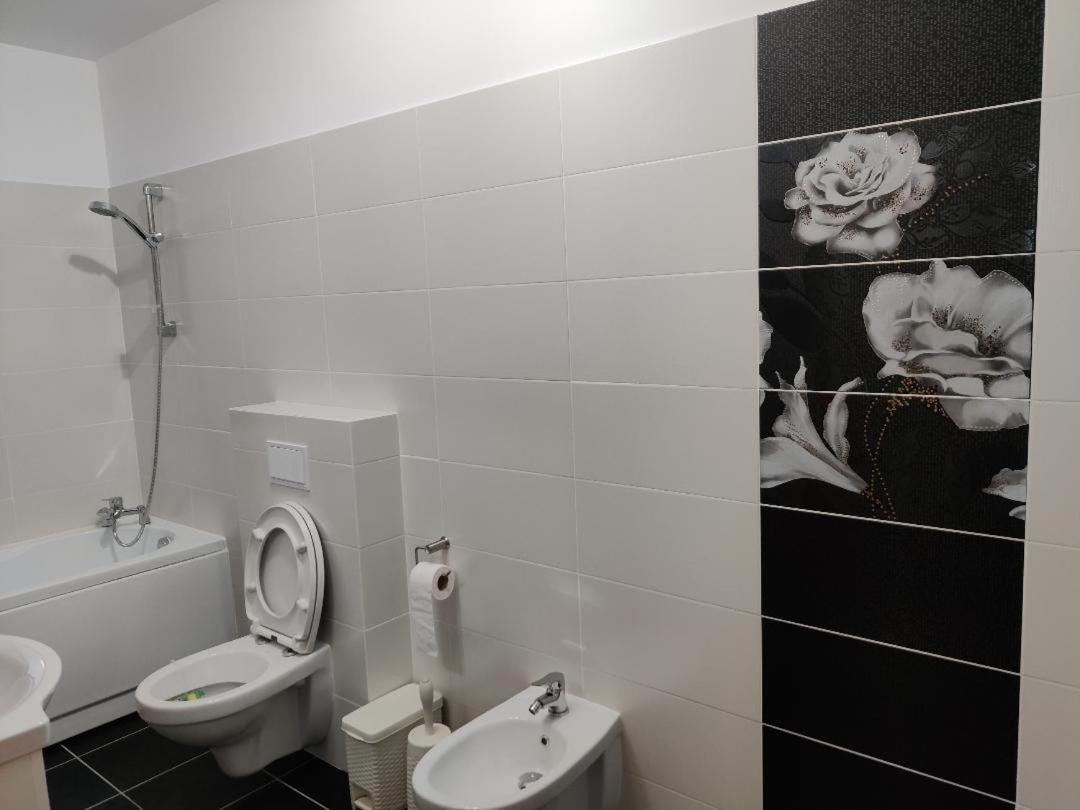 בראשוב Corressy Studio מראה חיצוני תמונה